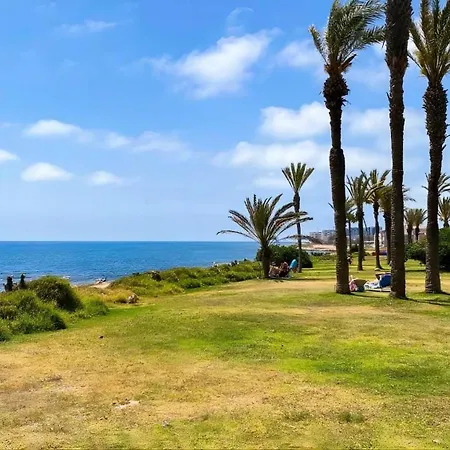 Amalia 托雷维耶哈