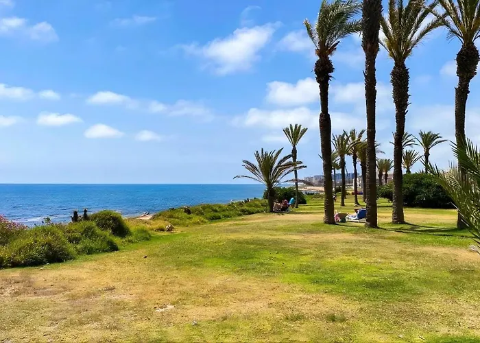 Amalia 托雷维耶哈